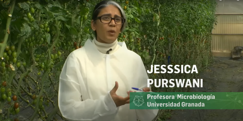 La profesora Jessica Purswani explica los futuros retos y soluciones. La profesora Jessica Purswani explica los futuros retos y soluciones.